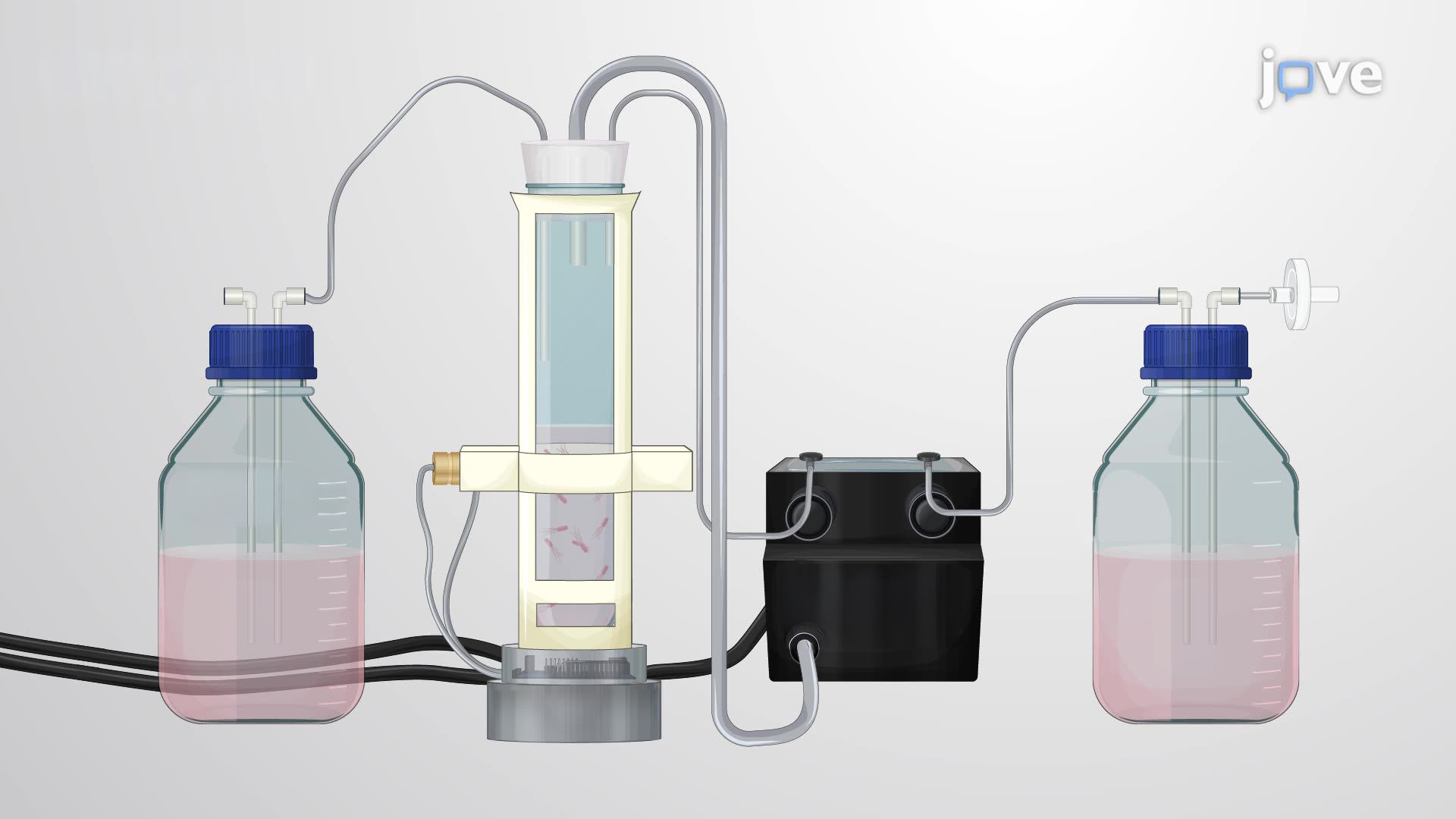 Continuous Culture of Bacteria at Constant Density via Automated Growth Rate Estimation