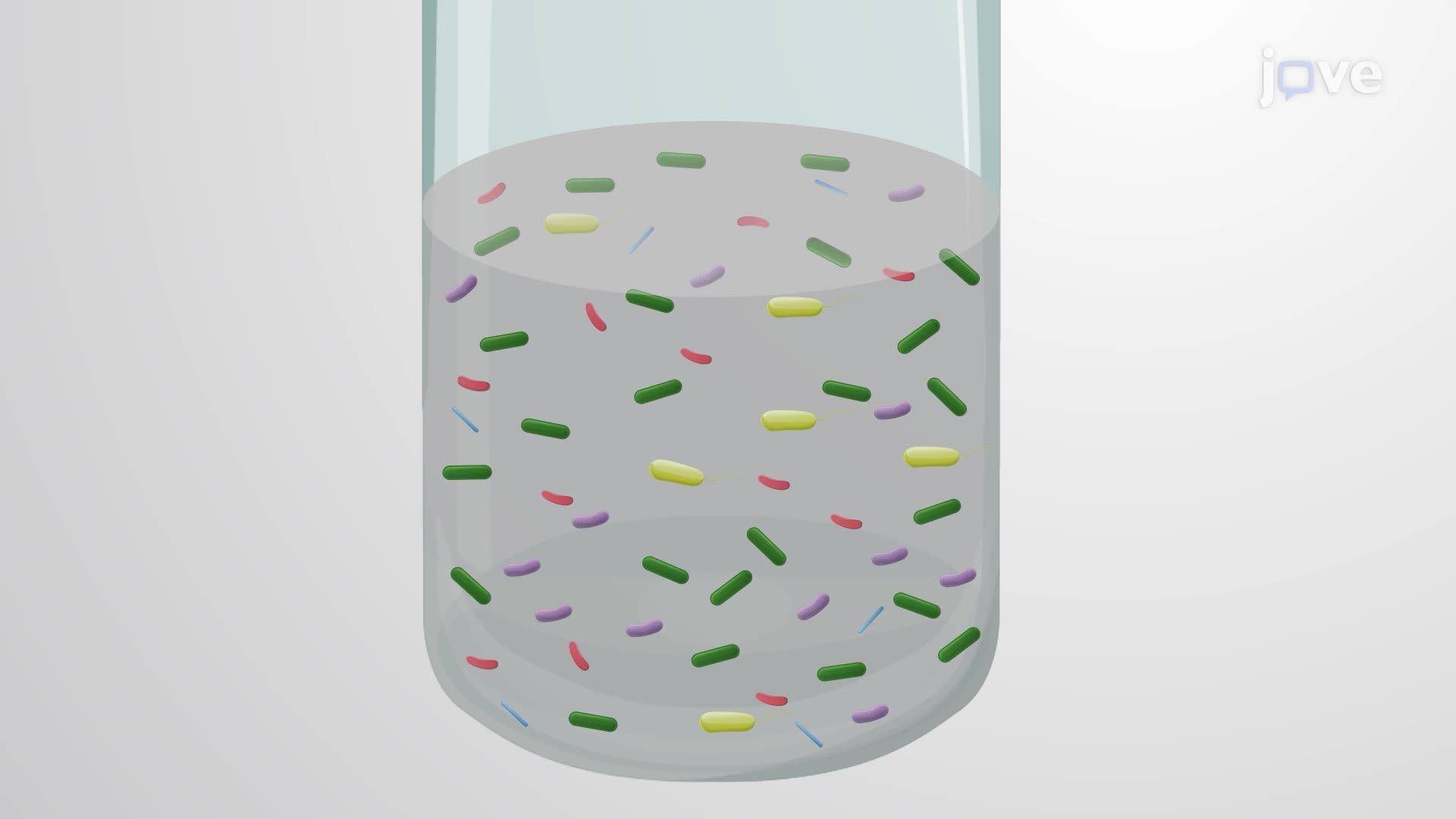 Isolation of Ammonium-Oxidizing Iron Reducers from a Wetland Soil–Derived Enrichment Culture