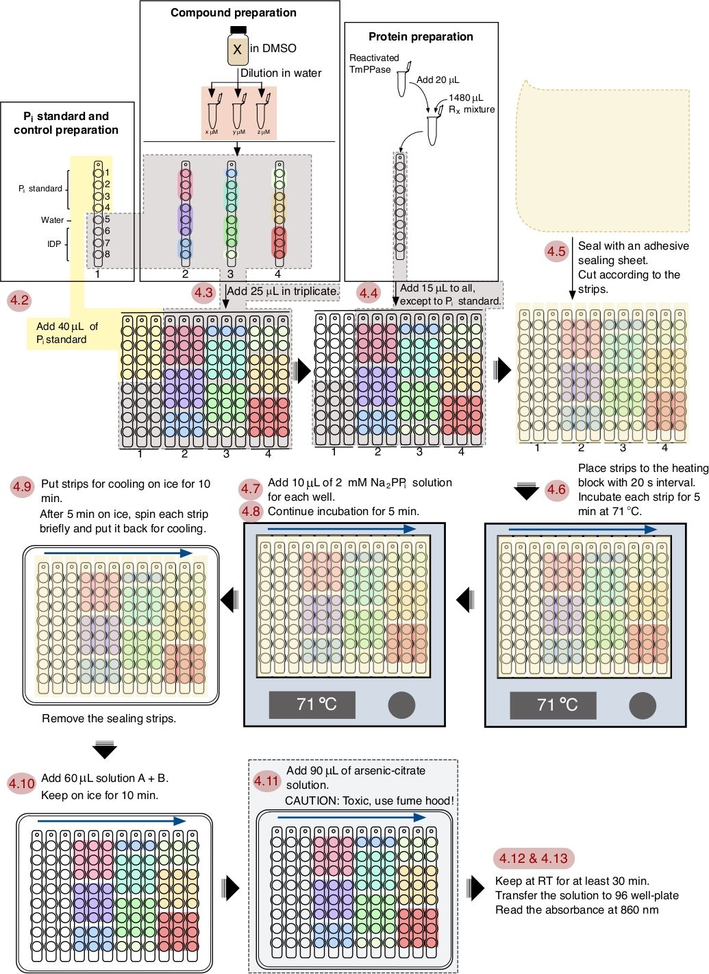Microplate assay workflow diagram showing protein and compound preparation with incubation steps.