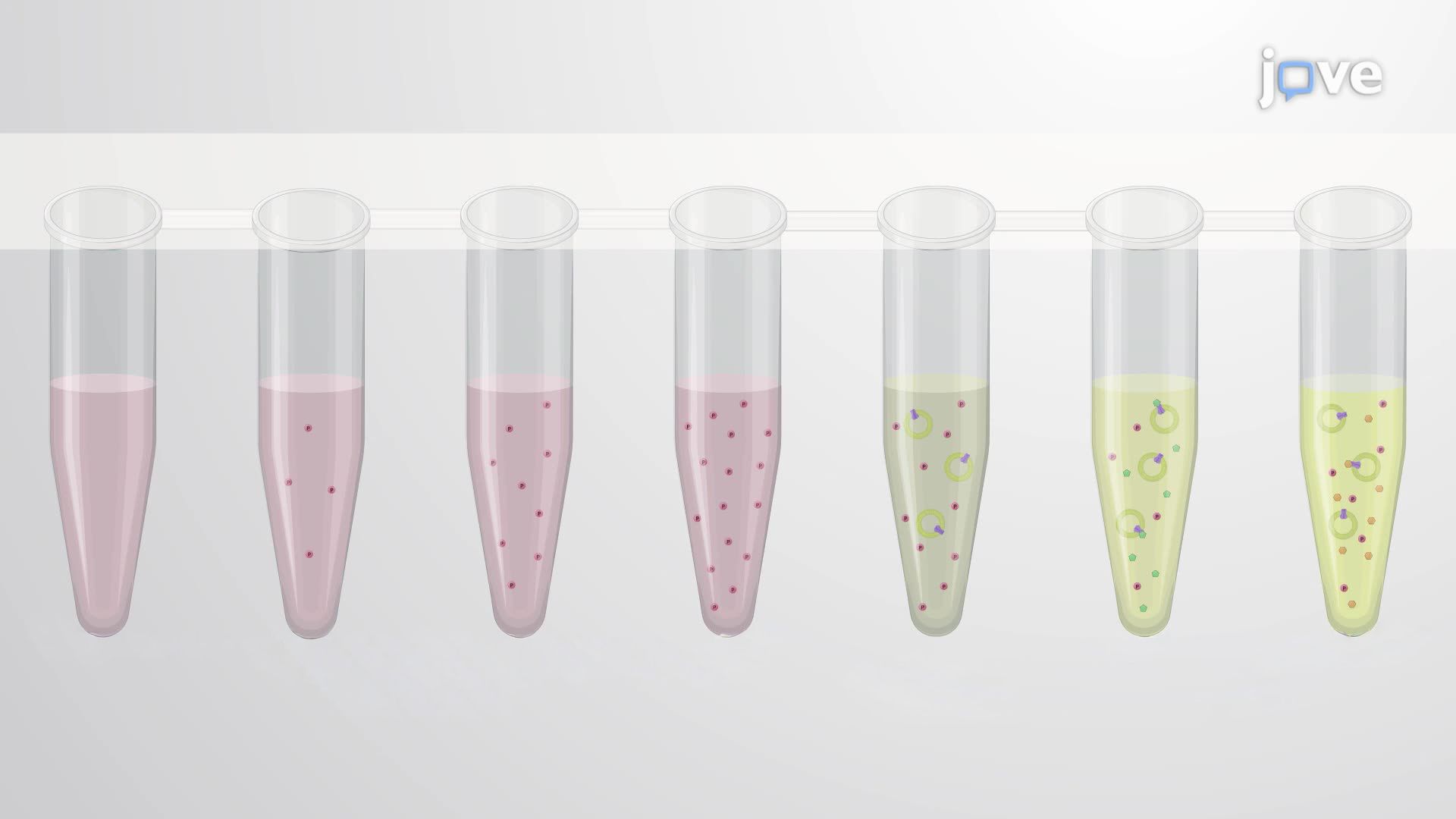 Screening Inhibitors of Bacterial Membrane-Bound Pyrophosphatase Using a Colorimetric Assay