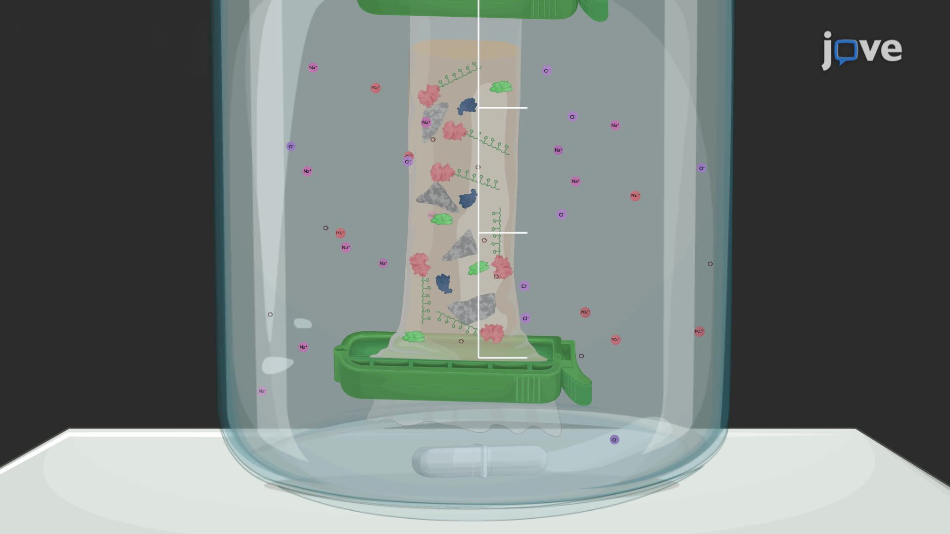 A Procedure for the Purification of a Polyhistidine-Tagged Protein from <i>Streptococcus mutans</i>