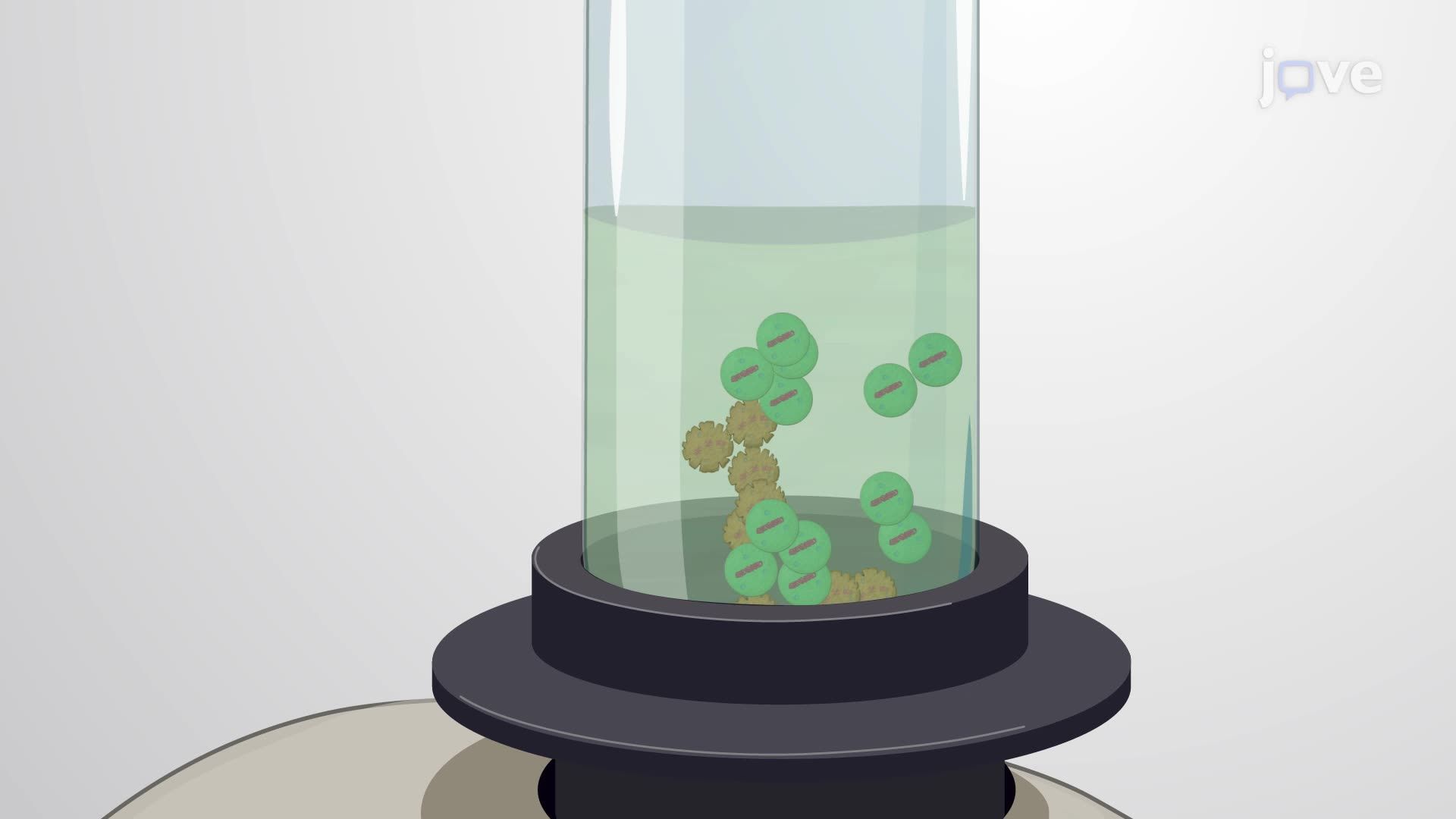 Viability Analysis of <i>Microcystis aeruginosa</i> Using Flow Cytometry