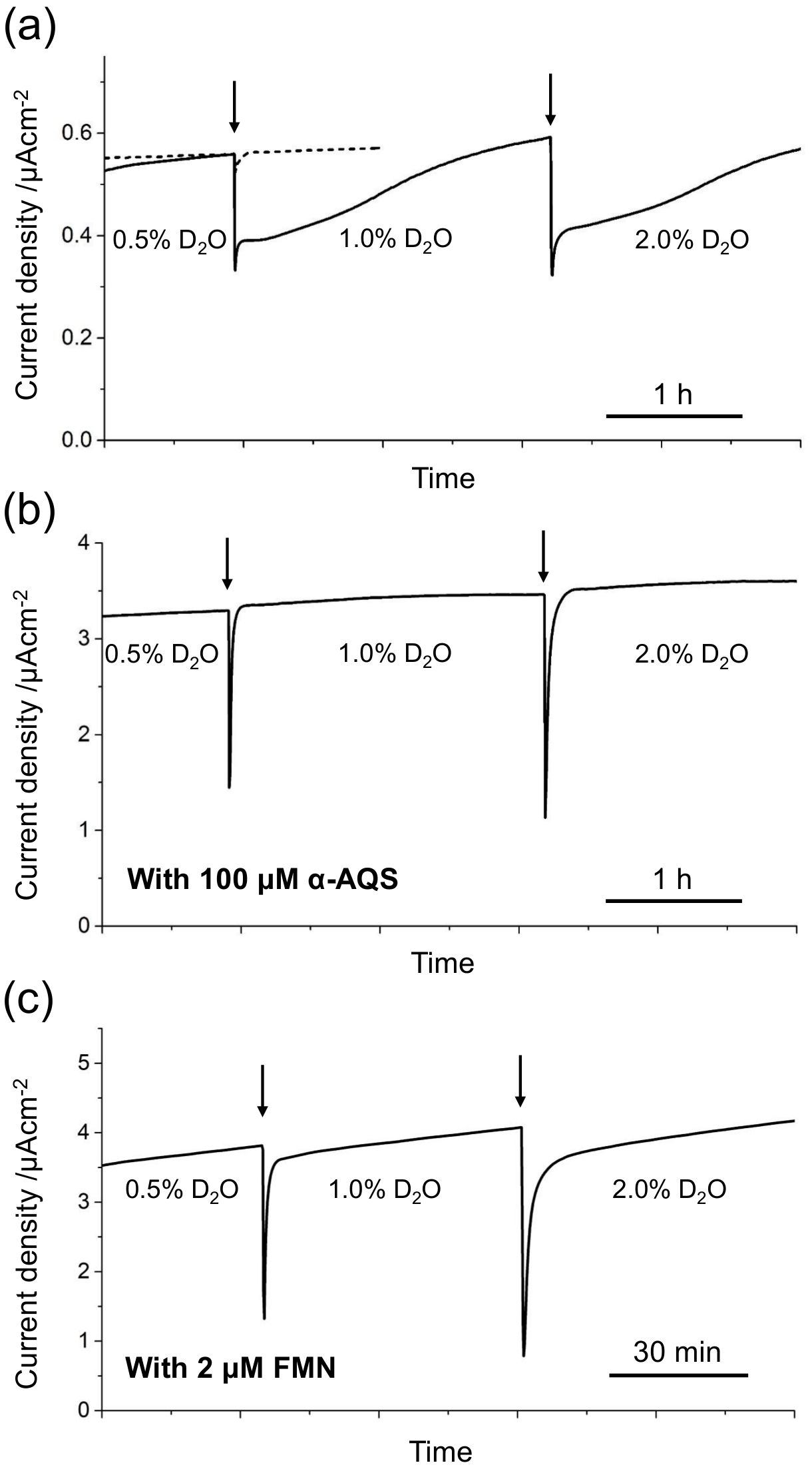 figure-results-1 Electrochemical current density graphs showing D2O concentration effects; experiments with α-AQS, FMN.