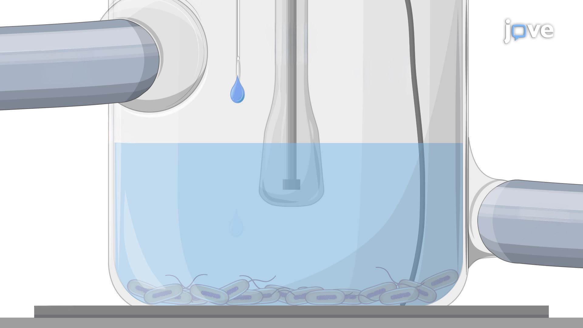 Measuring the Kinetic Isotope Effect on Microbial Electron Transport Using Deuterium Oxide