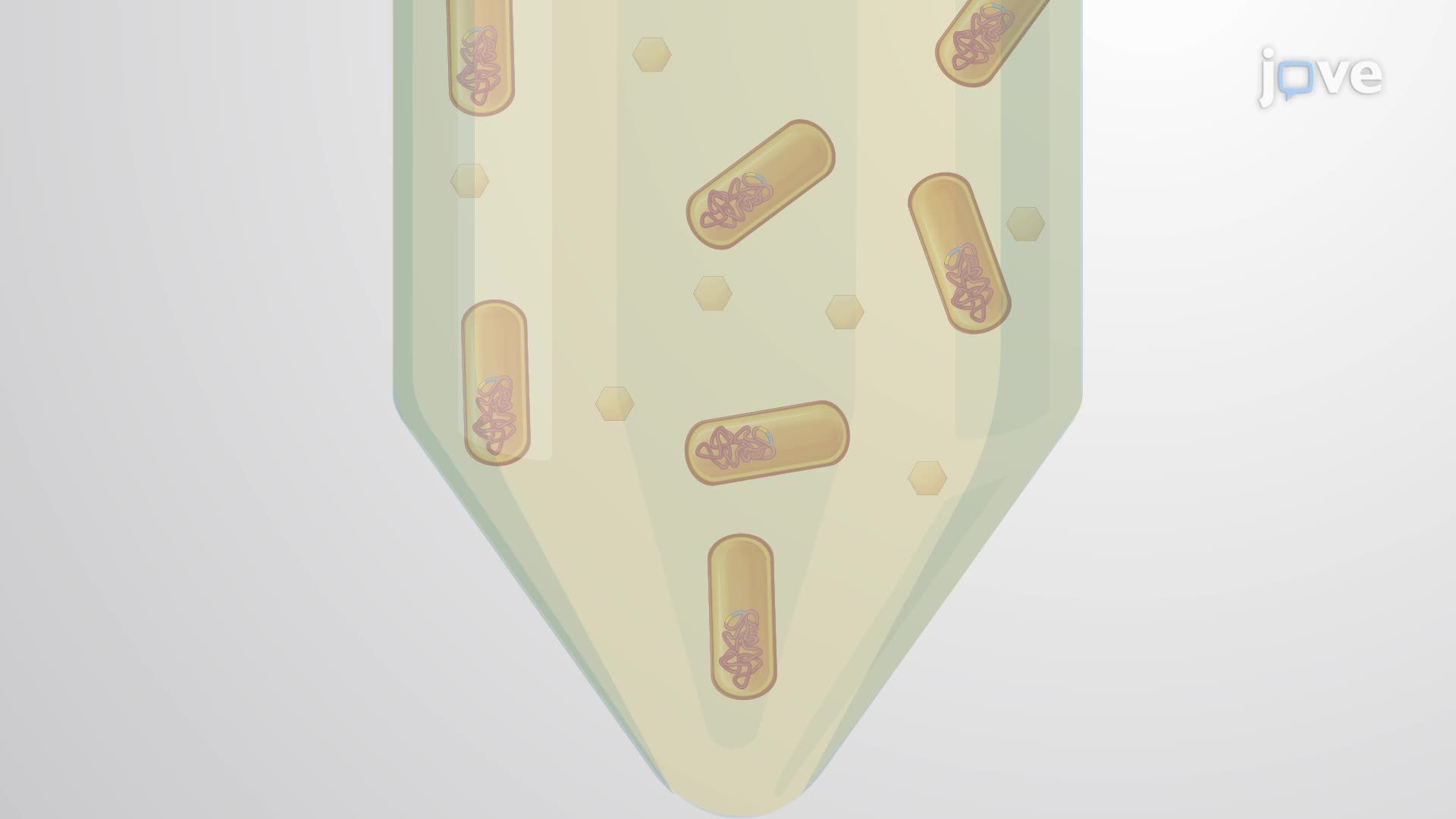 Treatment of Bacteria with Plant Root Exudates to Emulate In Vitro Plant-Microbe Interactions