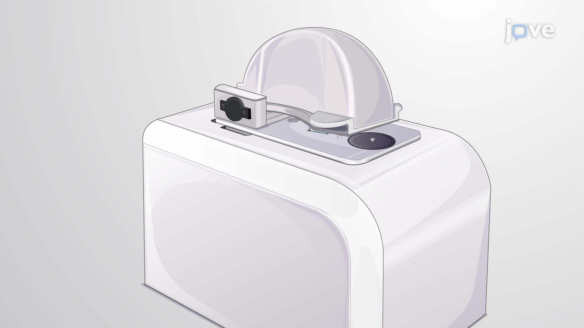 Culturing Non-typeable <i>Haemophilus influenzae</i>