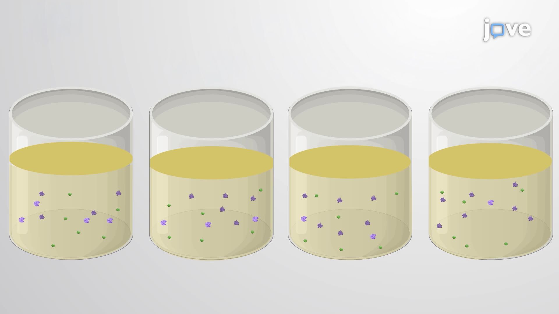 Measuring <i>Mycobacterium smegmatis</i> Mistranslation Rates Using a GFP/Luciferase Reporter System