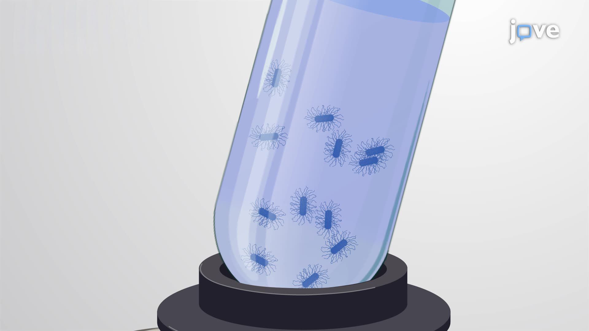 Preparation of Fatty Acid Methyl Esters (FAMEs) from Bacterial Biomass