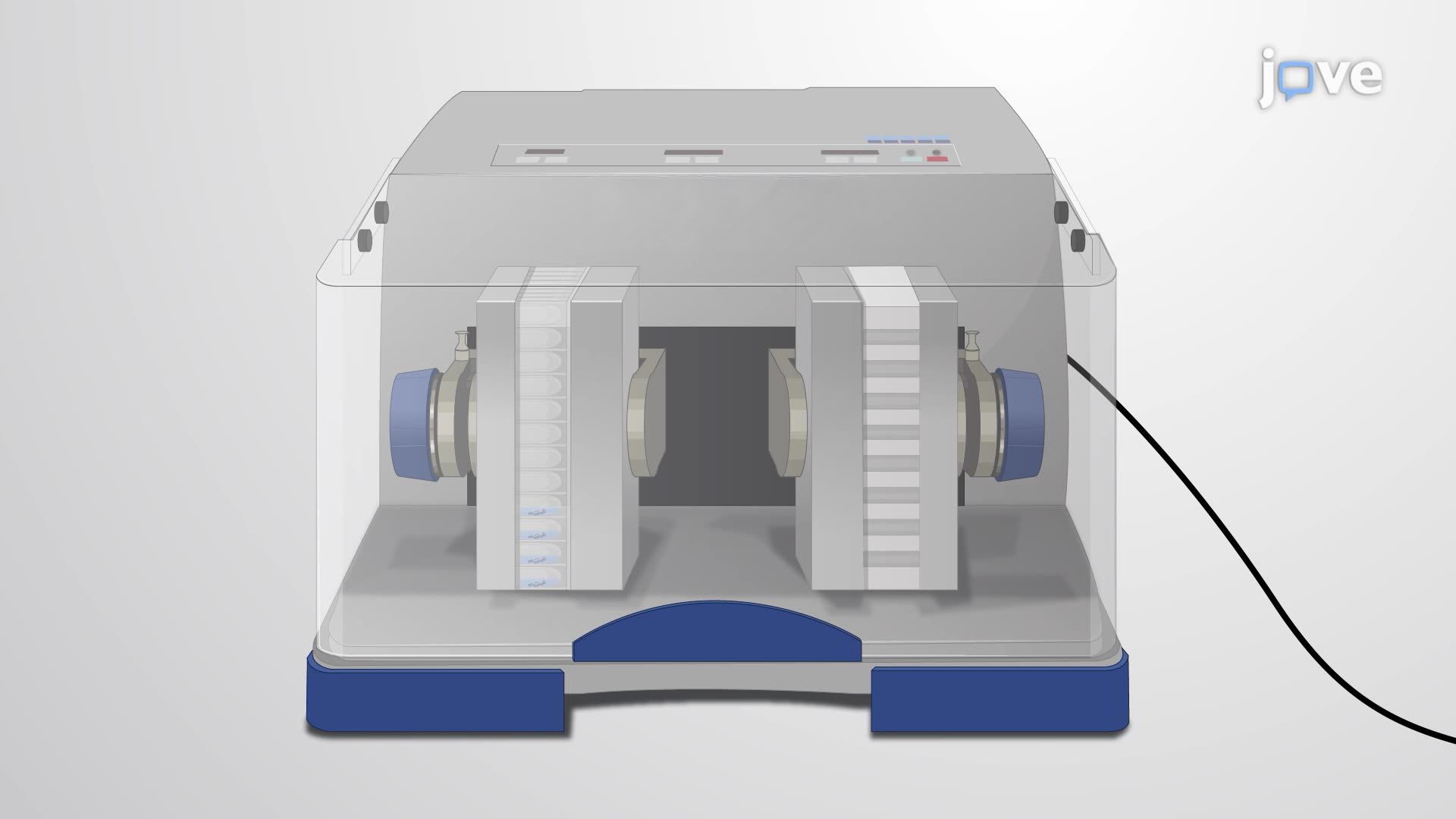 Mechanical Disruption of Individual Worms to Assess Variability in Host-Bacteria Interactions