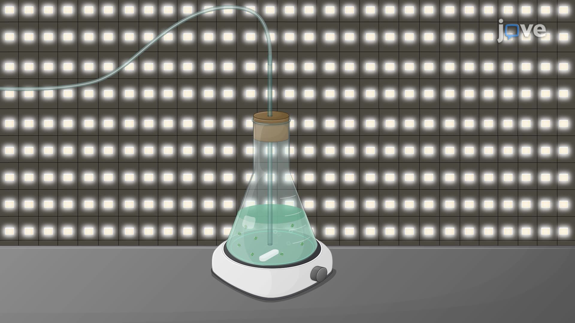 Preparation of Cyanobacterial Culture for Biomass Production