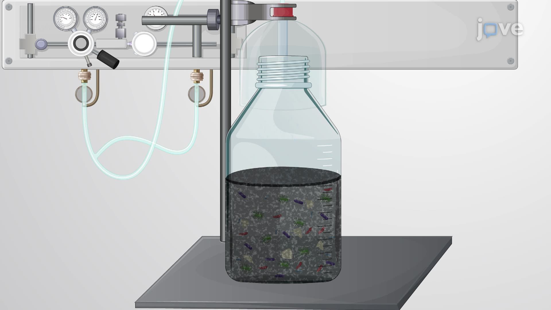 Preparing an Anaerobic Sludge Culture under Oxygen-Free Conditions