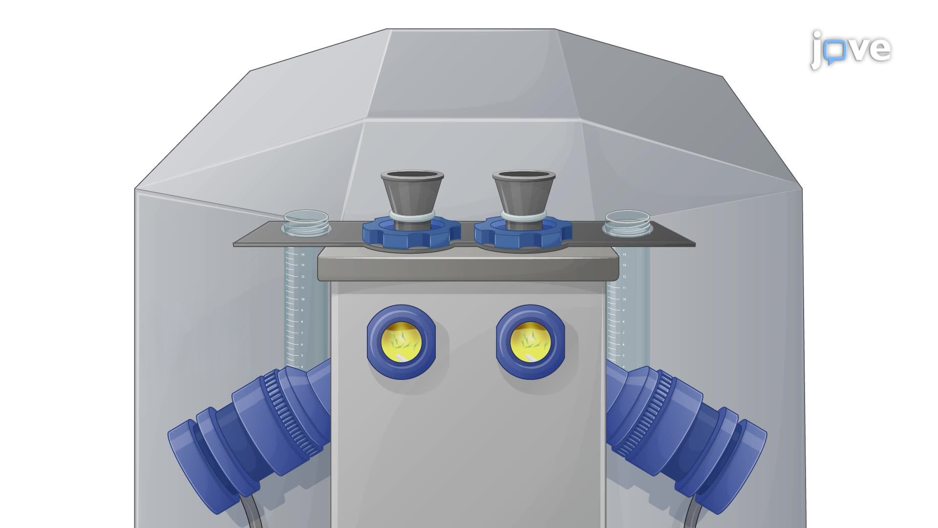Oxygen Flux Measurements to Evaluate Mitochondrial Respiration in Living and Permeabilized Cells