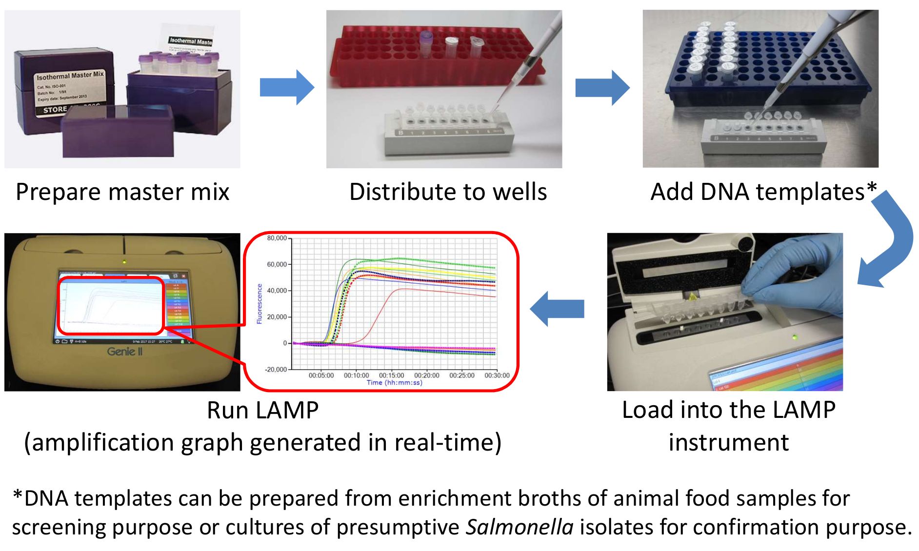 LAMP process diagram with master mix prep, DNA addition, loading, real-time amplification results.