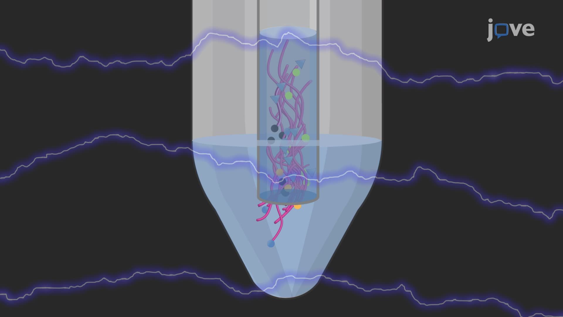 Detection of Fish Pathogens Using Variable Number Tandem Repeat (VNTR) Analysis