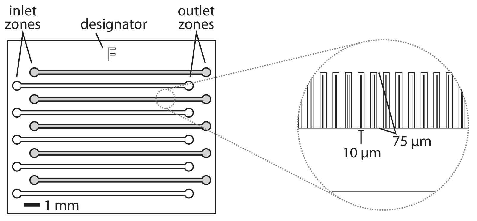 Microfluidic device design; inlet and outlet zones, 10 μm, 75 μm features; diagram for fluid flow.