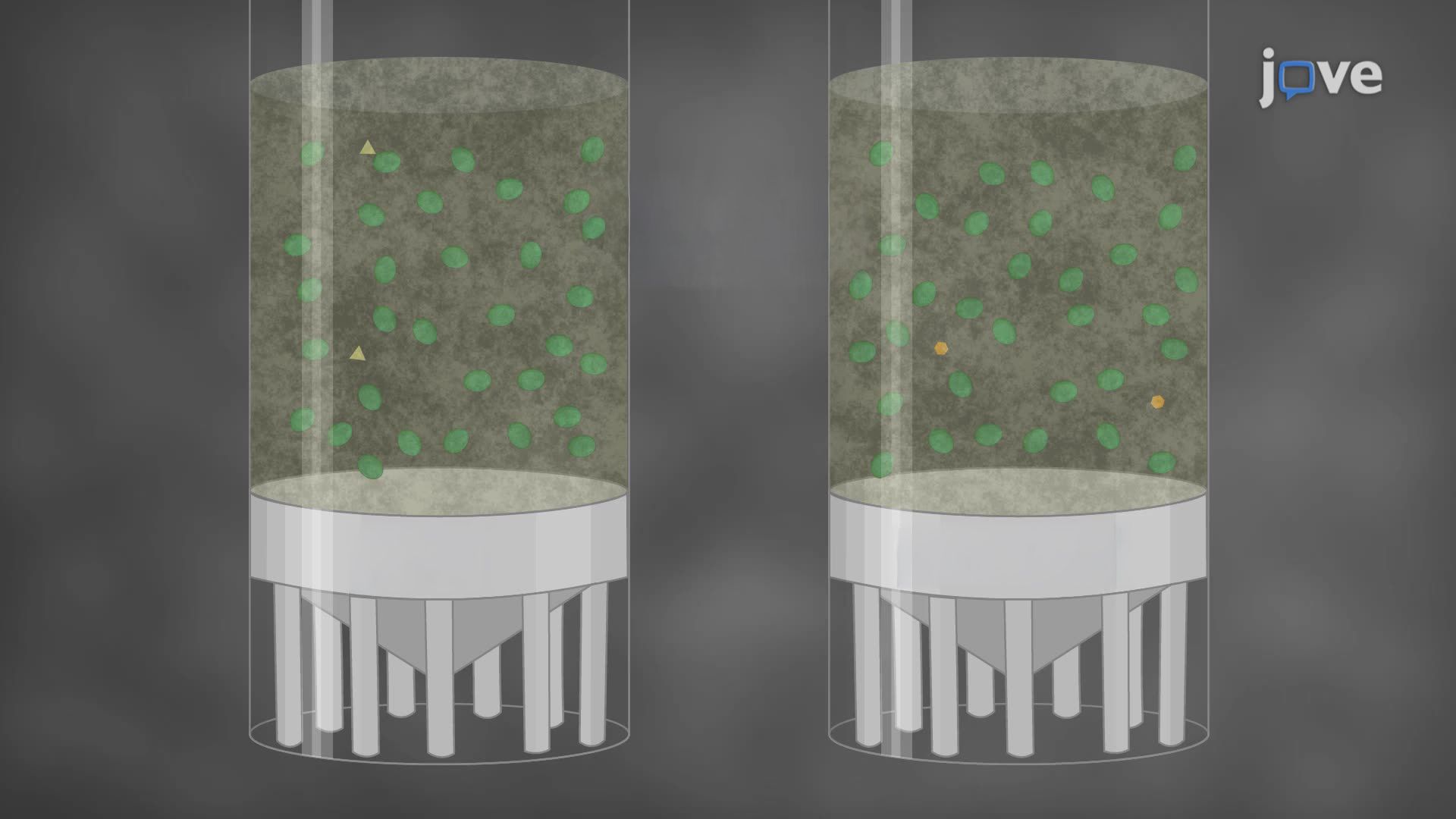 Long-Term Cryopreservation of Cyanobacterial Strains Using Glycerol or Dimethyl Sulfoxide