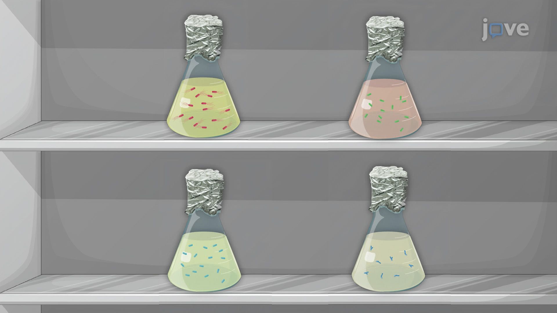 Isolation and Cultivation of Caenorhabditis elegans-Associated Bacteria