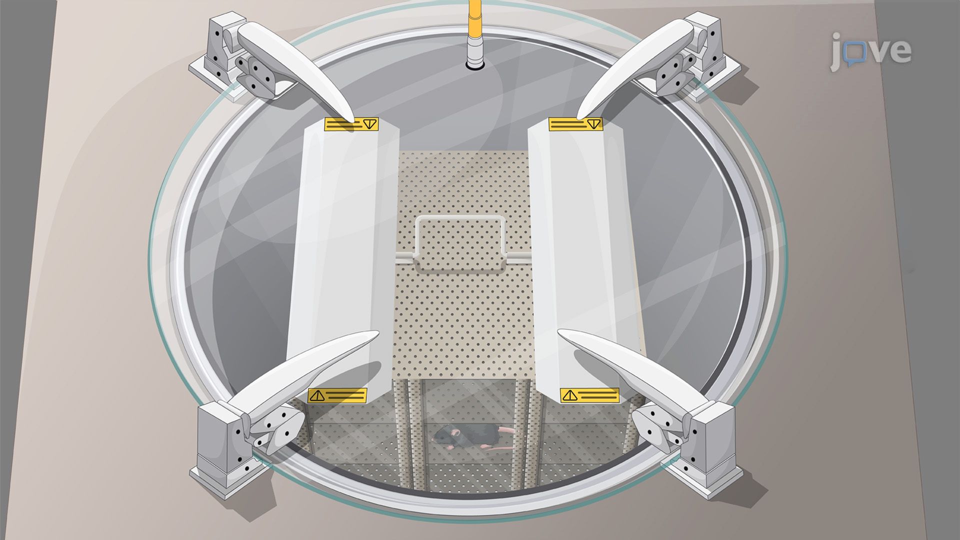 Aerosol Delivery of Mycobacterium tuberculosis for Pulmonary Infection in a Mouse Model