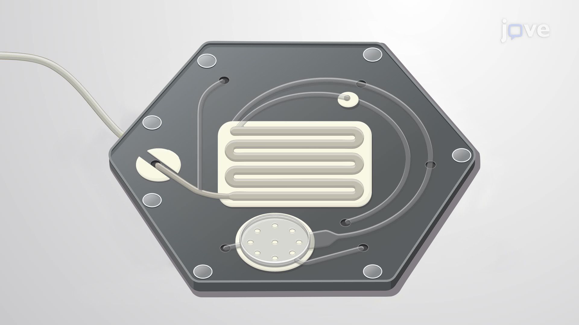Phage-Based Microfluidic Assay for Detecting Viable E. coli in Water Samples