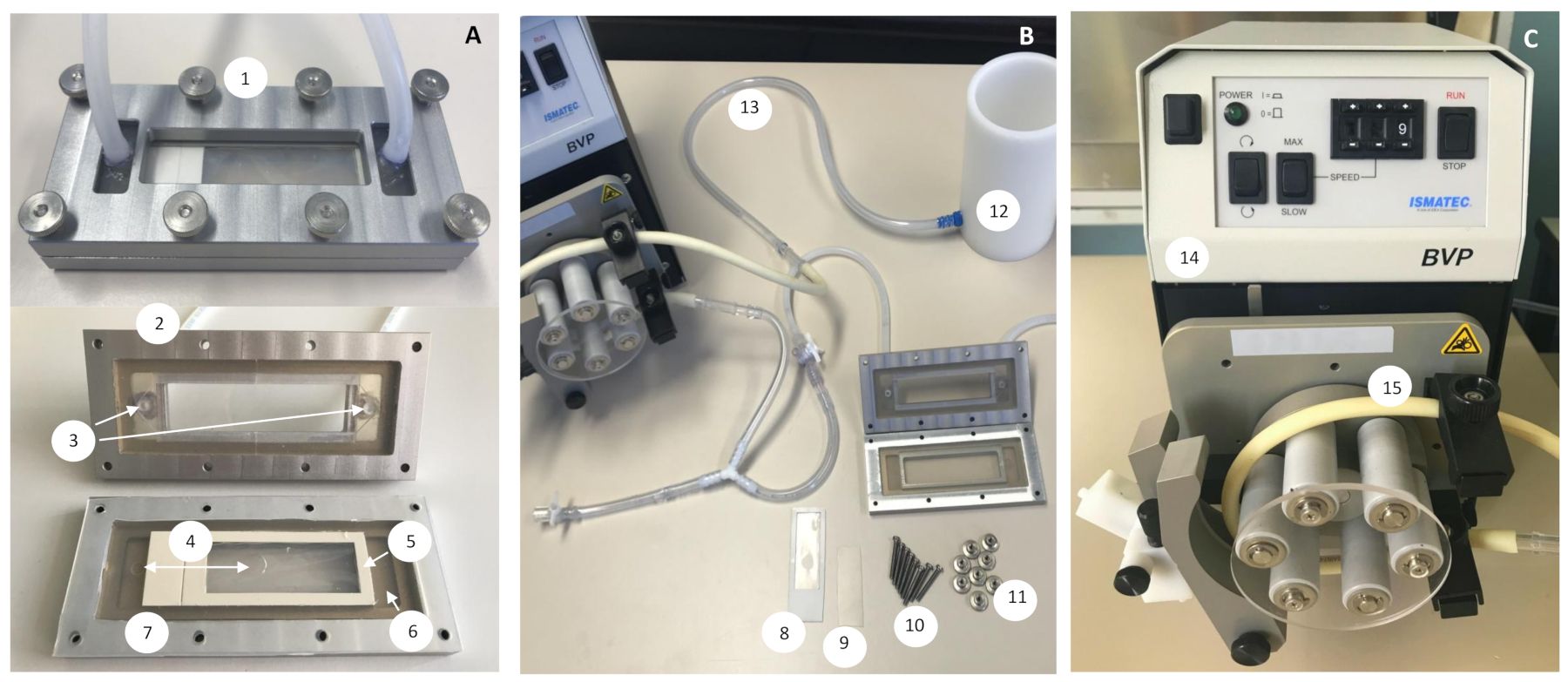 Peristaltic pump setup for microfluidic experiments; includes flow chamber and tubing connections.