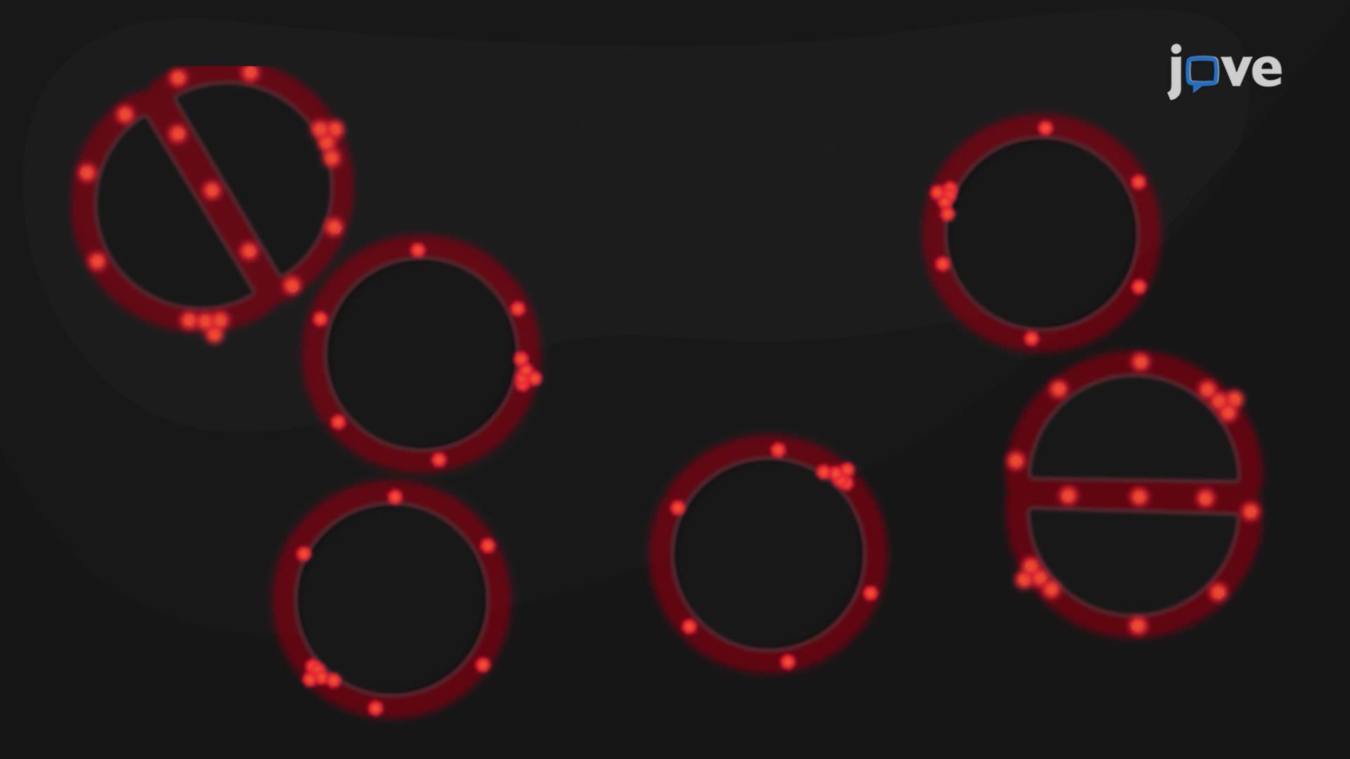 Video: Imaging Morphological Changes in Bacteria Using Live-Cell ...