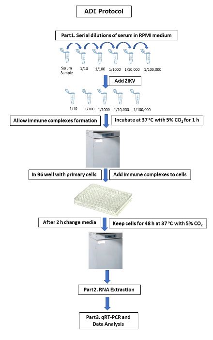 figure-results-1