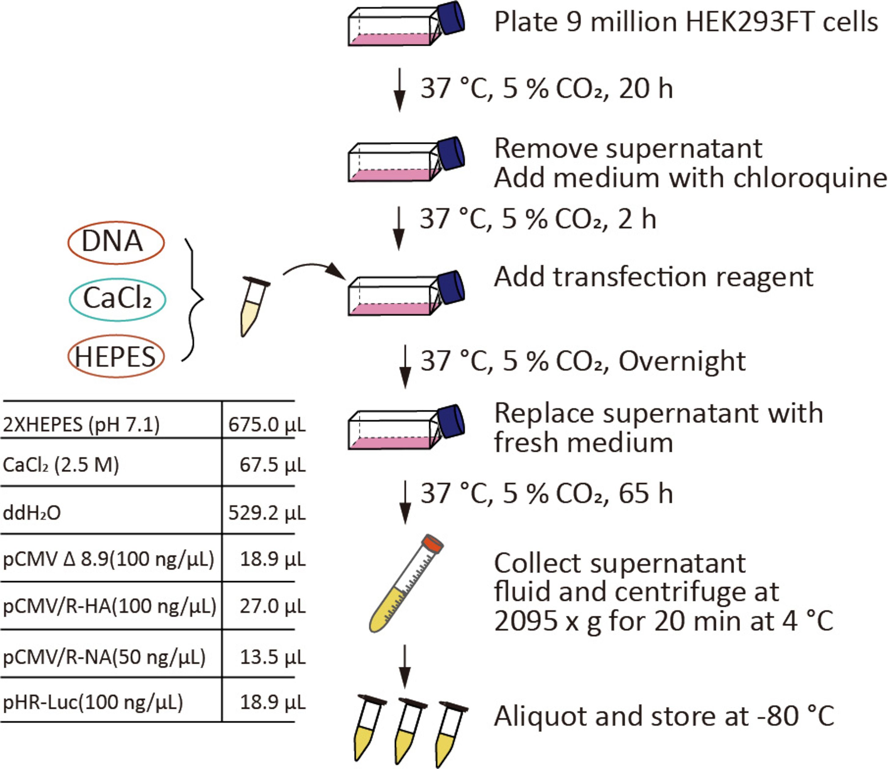 figure-results-1
