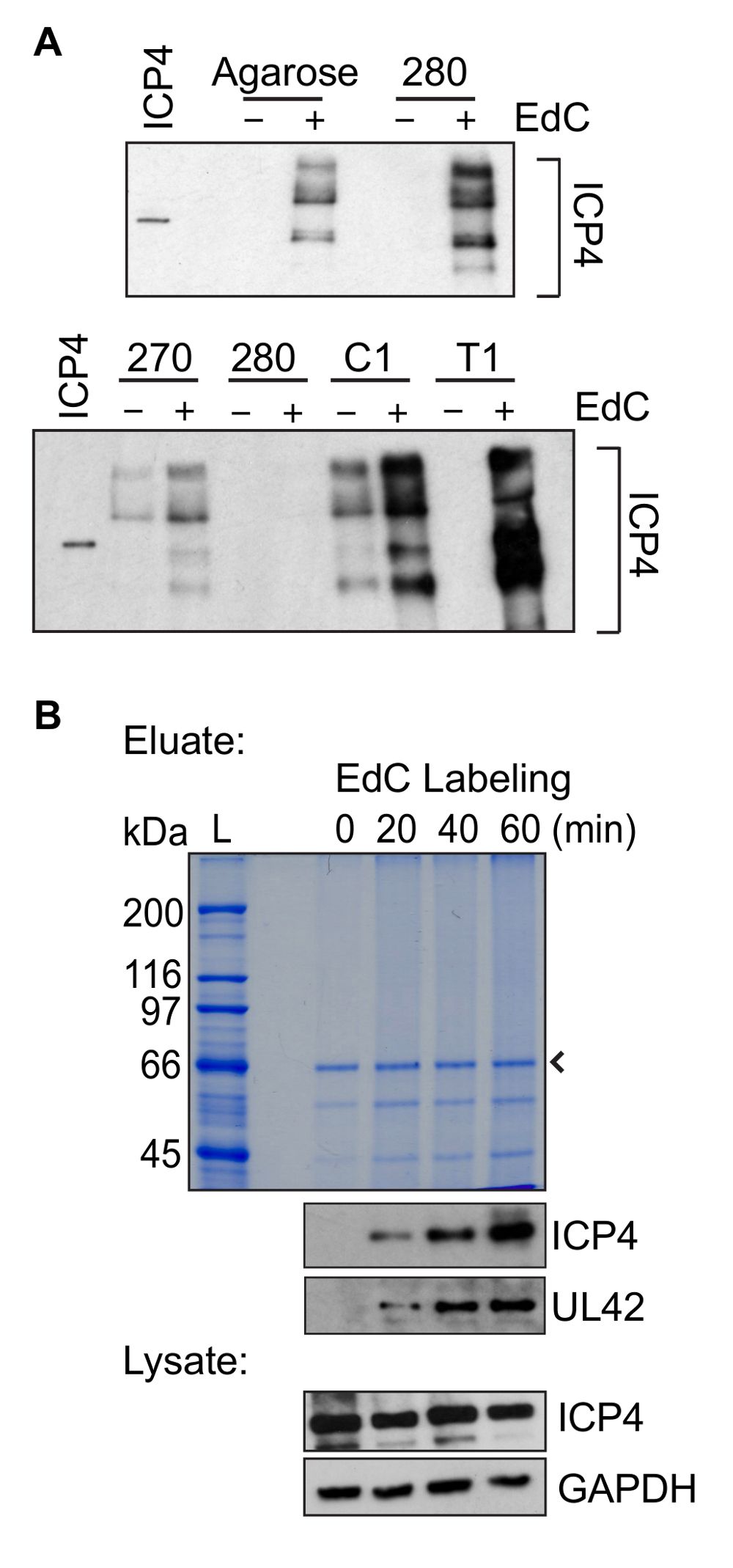 figure-results-1