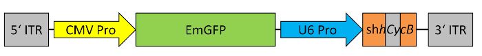figure-results-1