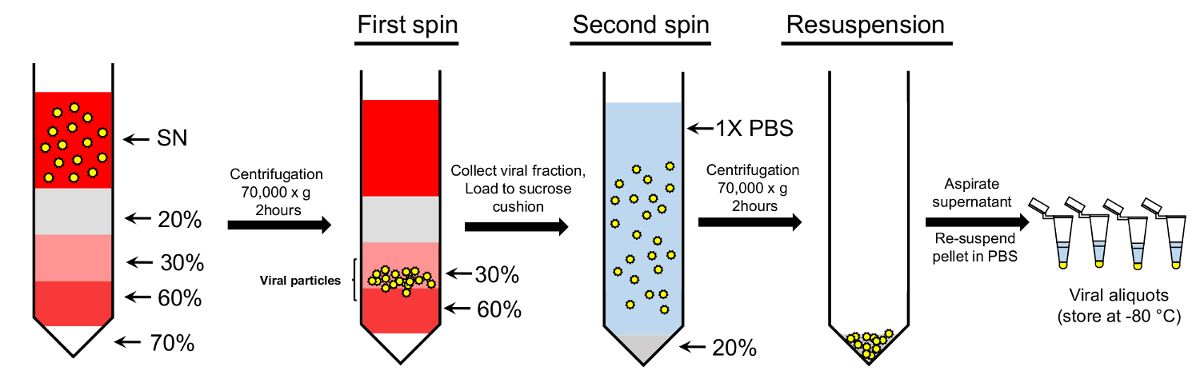 figure-results-1 figure-results-1