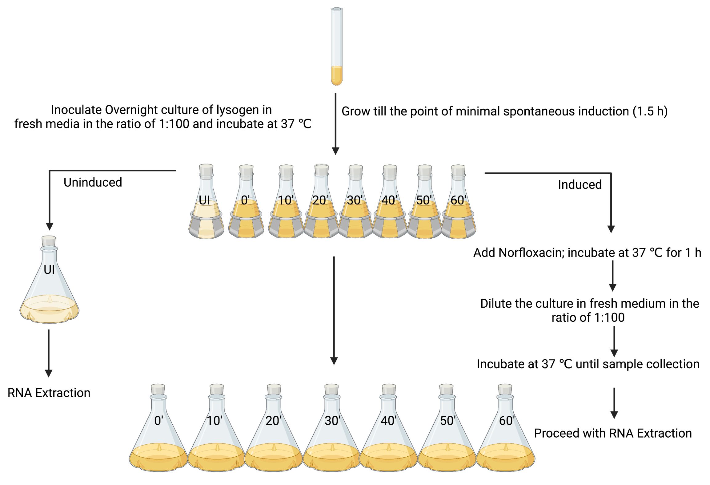 figure-results-1