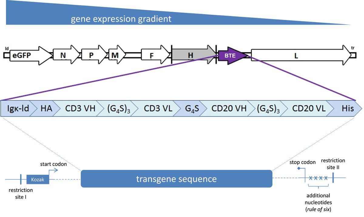figure-results-1 figure-results-1
