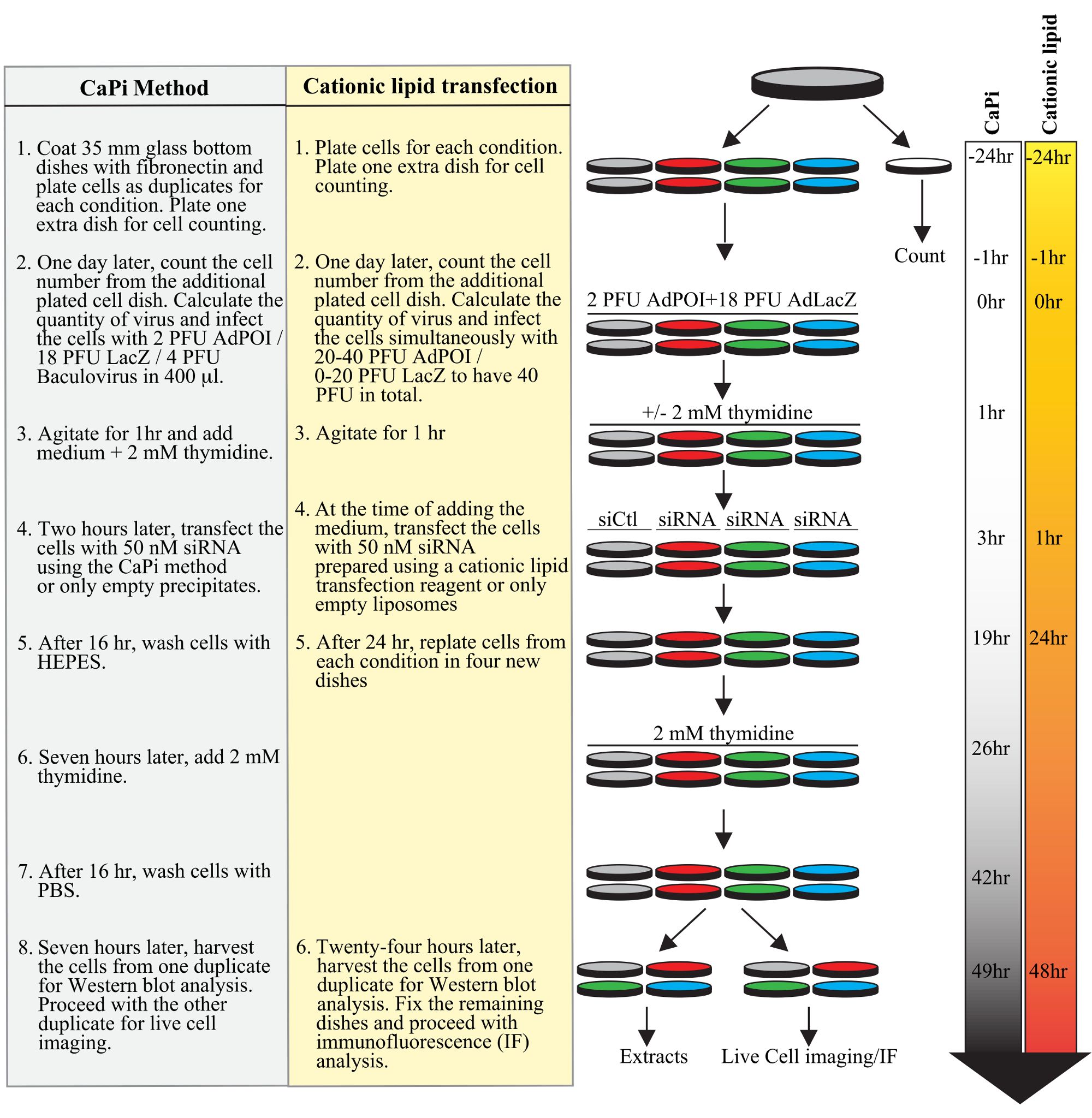 figure-results-1 figure-results-1