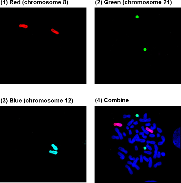 Figure 3A