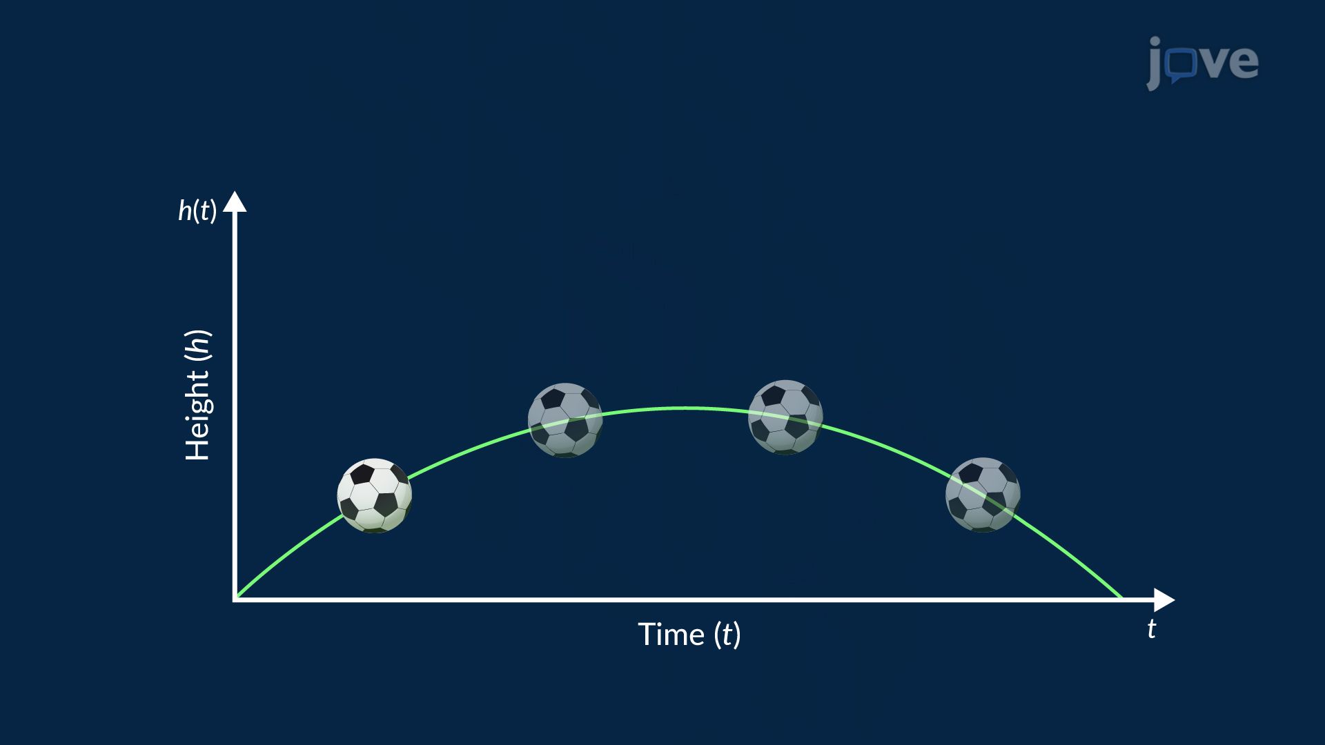 Introduction to Polynomial Functions