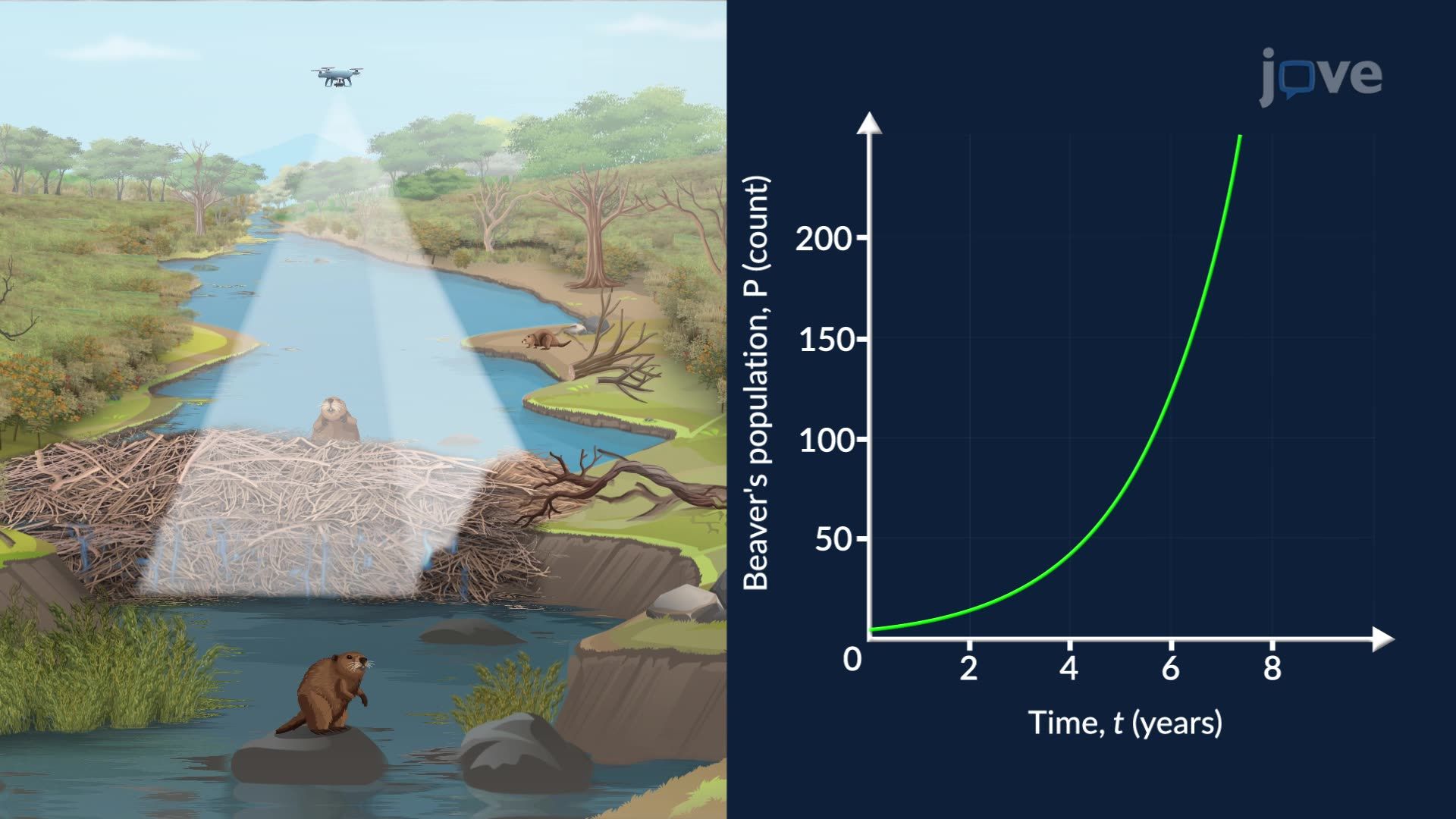 Exponential Equations with Logarithms: Problem Solving