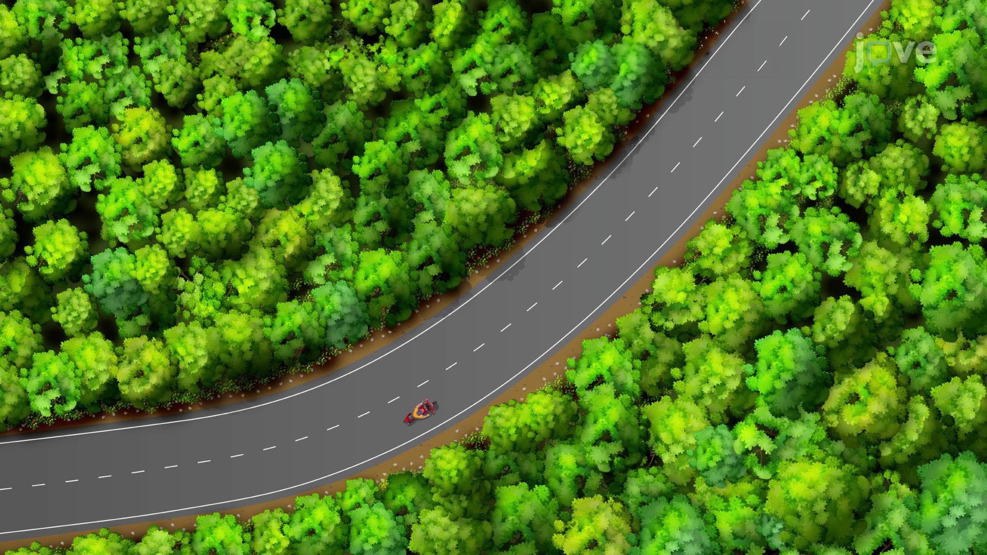 Evaluating Limits by Direct Substitution