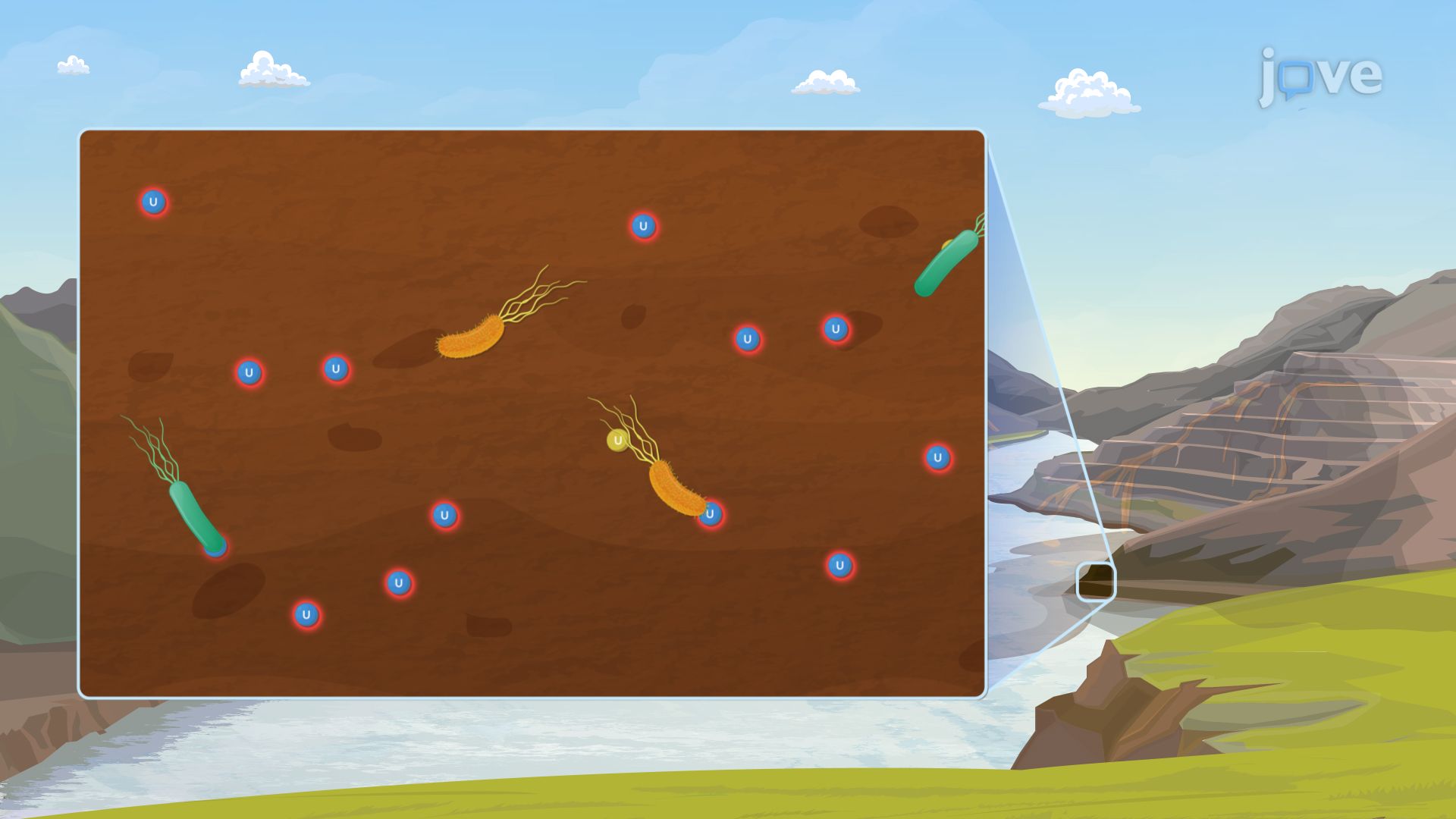 Thumbnail for Environmental Microbiology