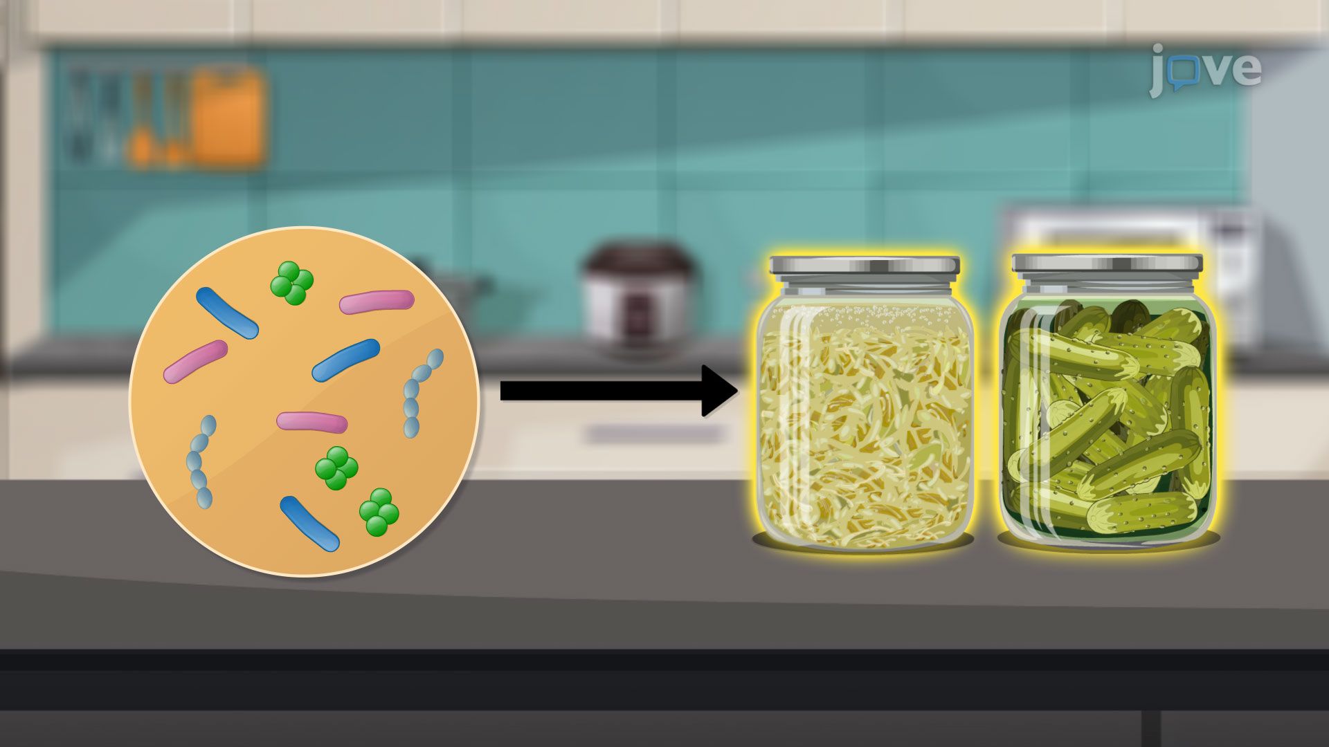 비디오: Microbes in the Production of Fermented Foods