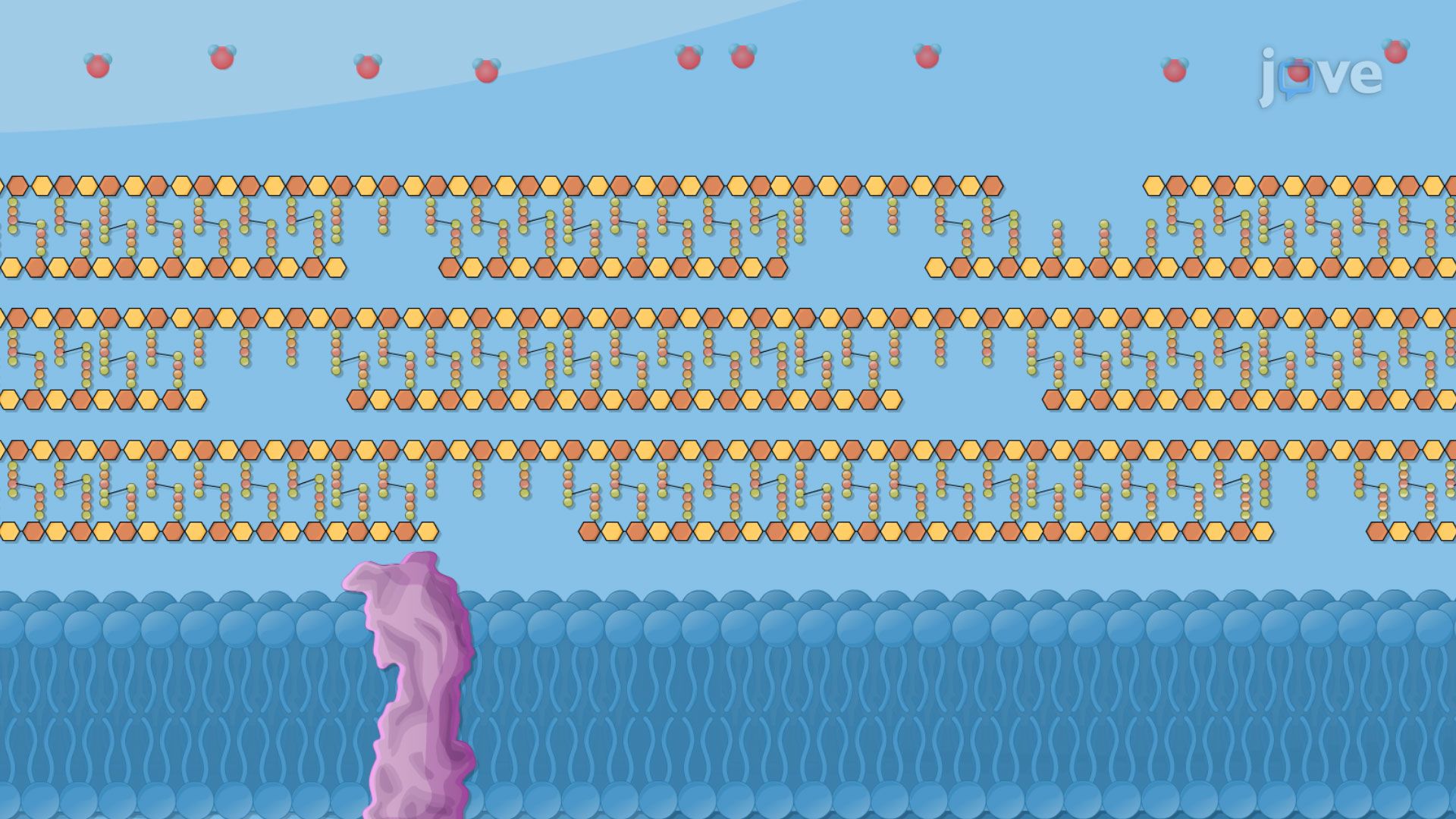 Thumbnail for Antimicrobial Agents