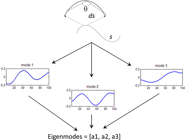 Figura 3