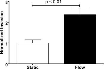 Figura 3