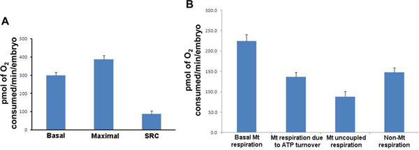 Figura 3