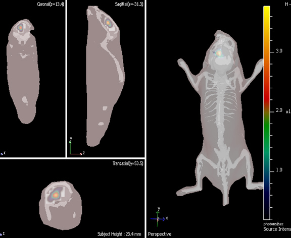 Figure 4