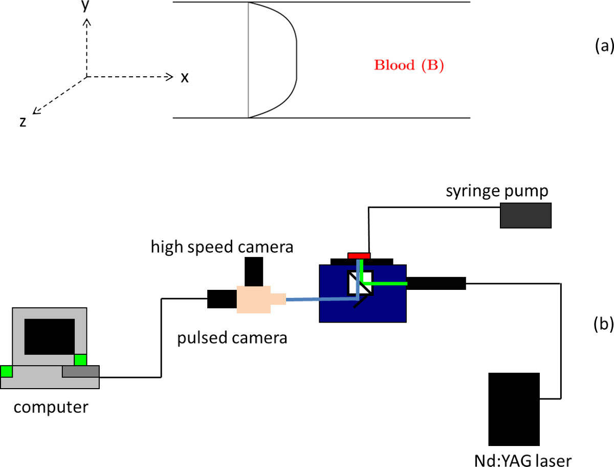 Micro-particle Image Velocimetry for Velocity Profile Measurements of ...