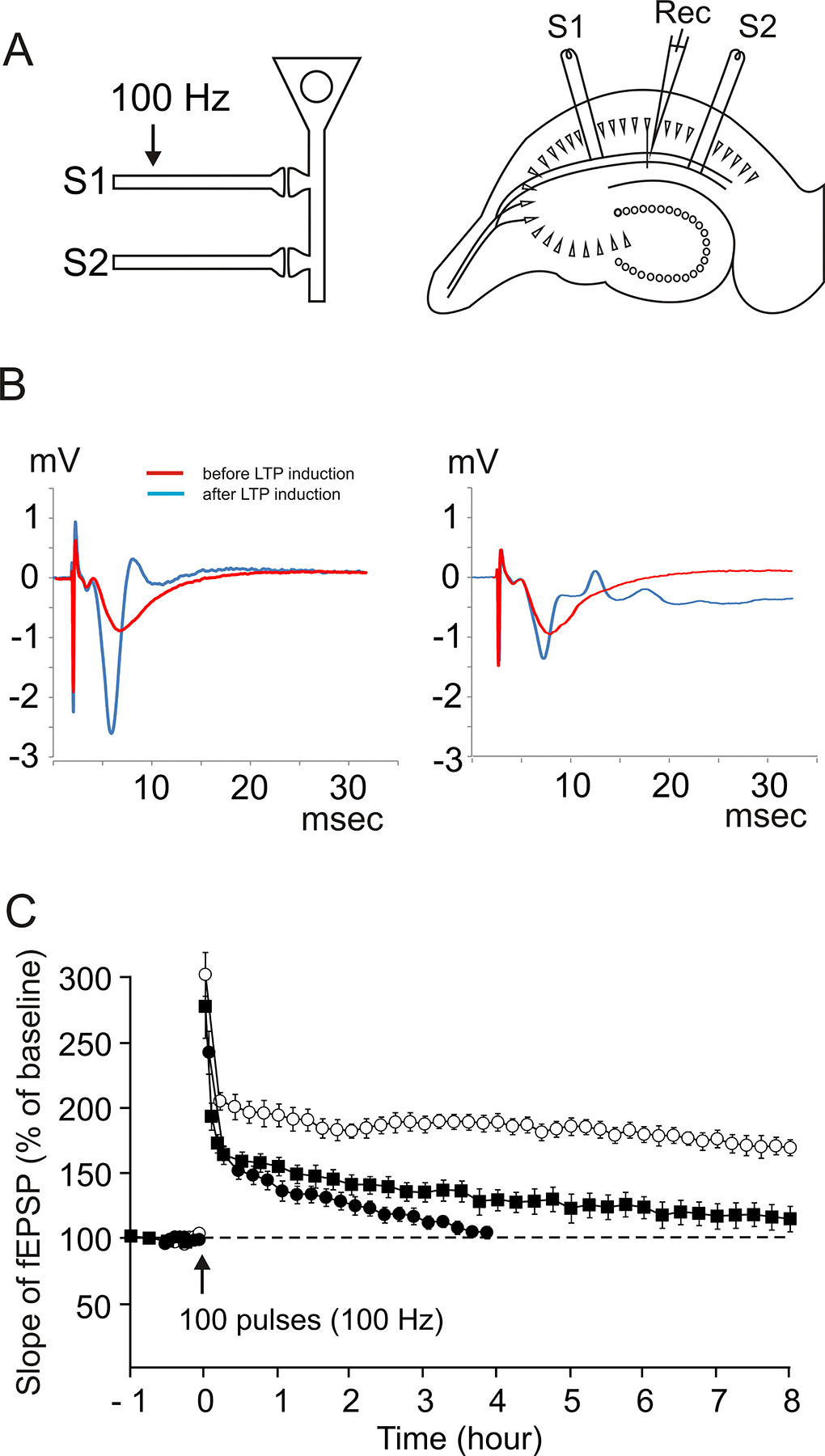 Improved Preparation and Preservation of Hippocampal Mouse Slices for a ...