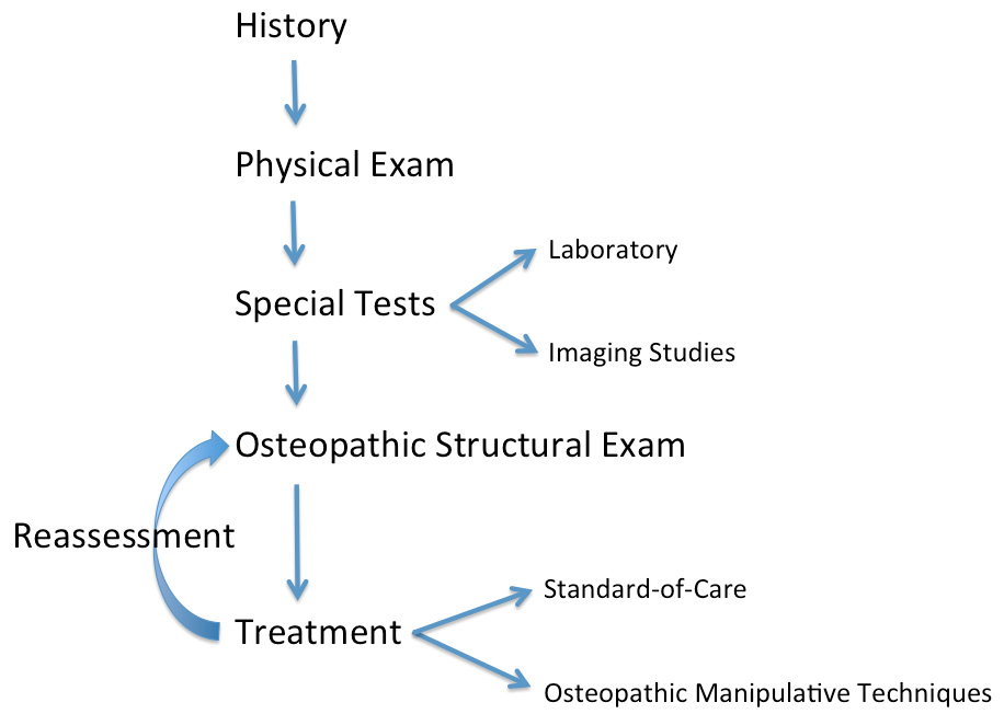 Osteopathic Manipulative Treatment as a Useful Adjunctive Tool for