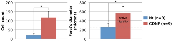 Figura 3