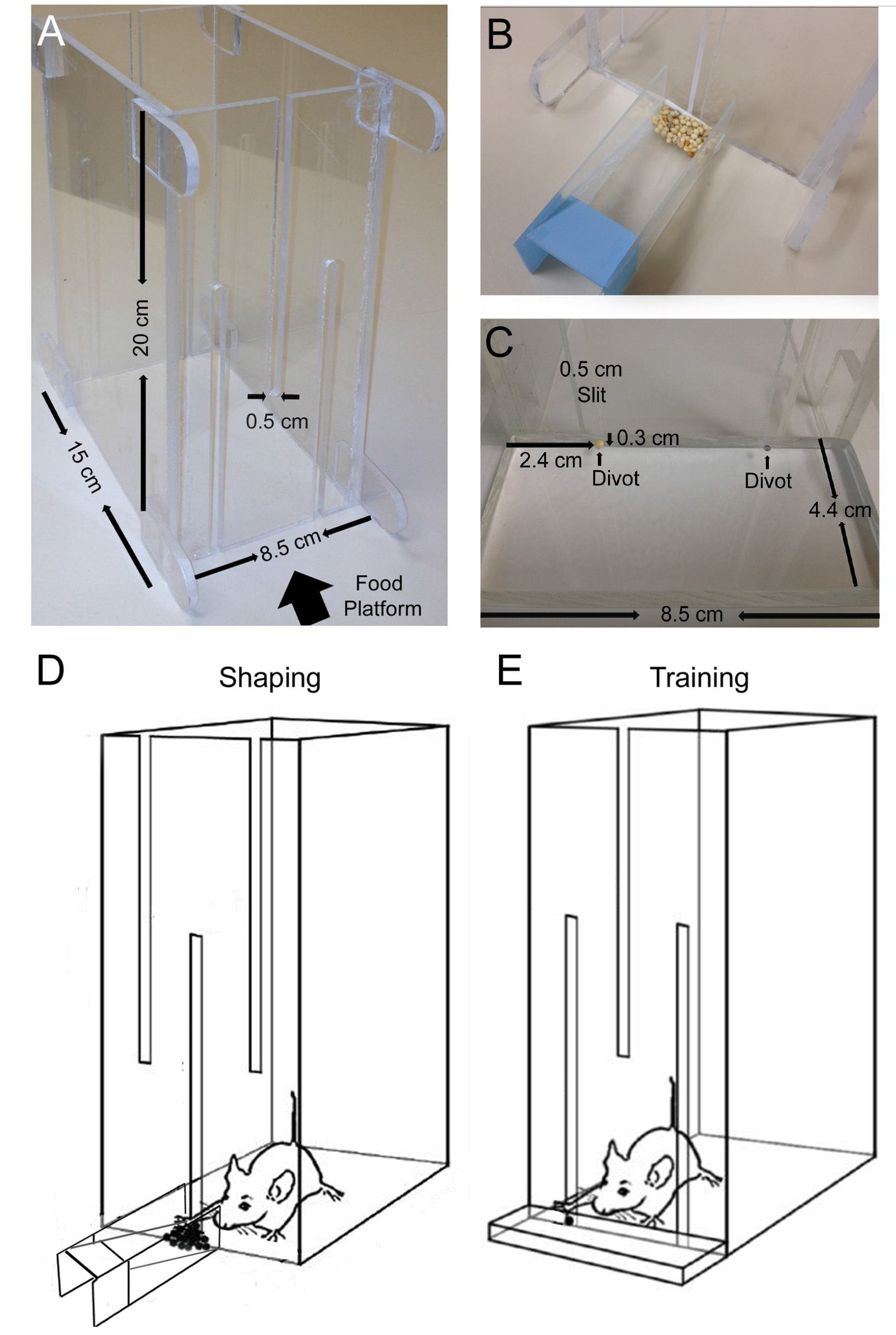 Figure 1