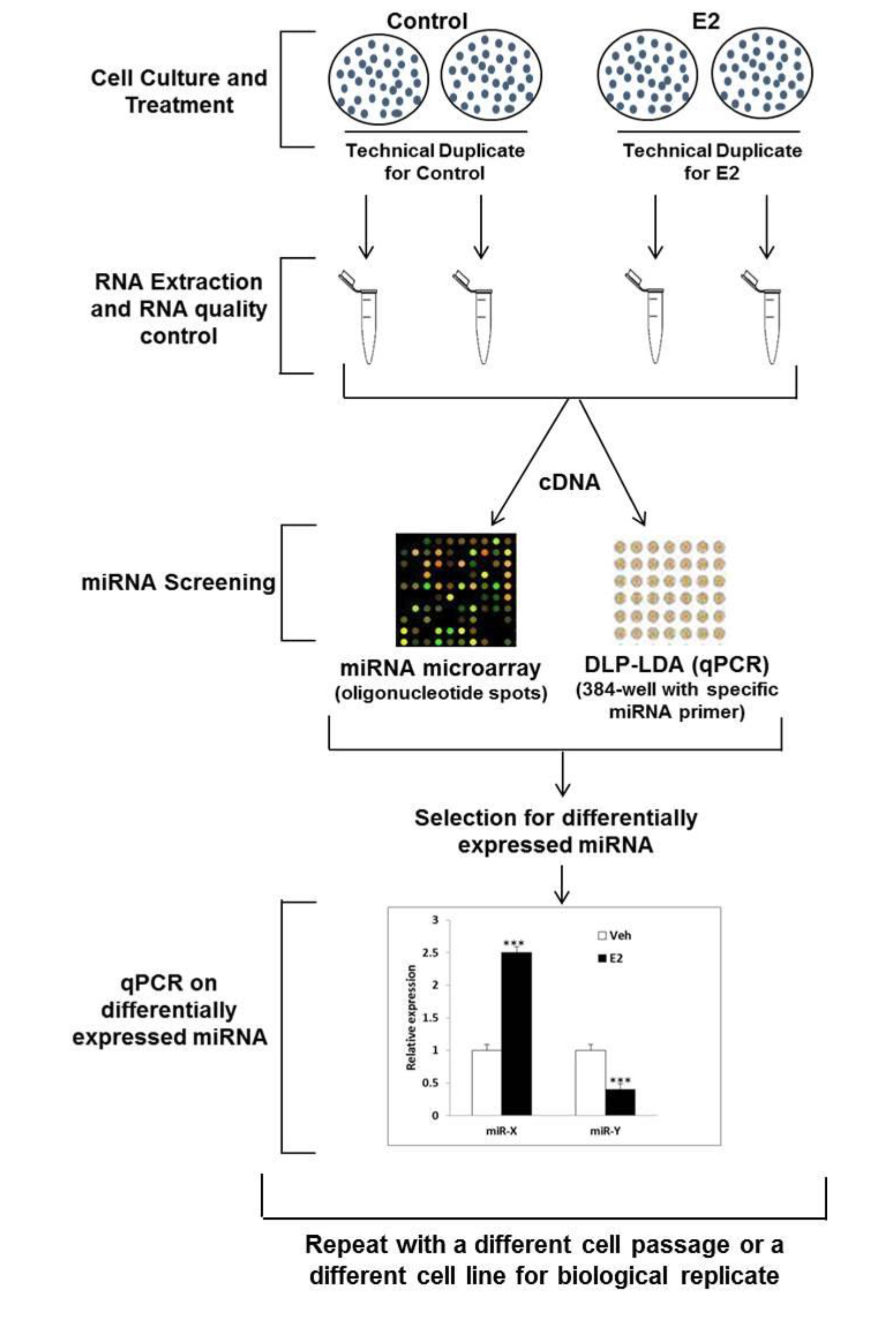 Profiling of Estrogenregulated MicroRNAs in Breast Cancer Cells Protocol